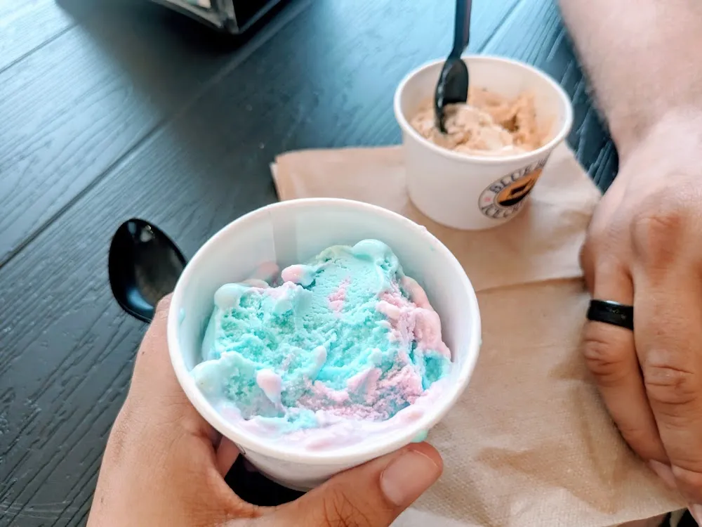Blue Bell 2 Scoop of Ice Cream